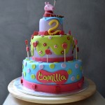 CamillasCake-1